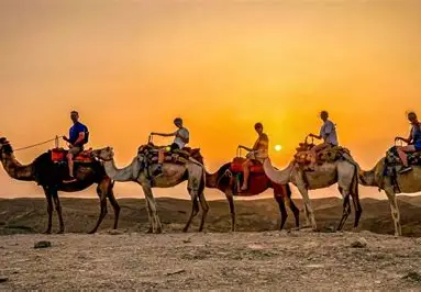 Camel Ride in the Agafay Desert